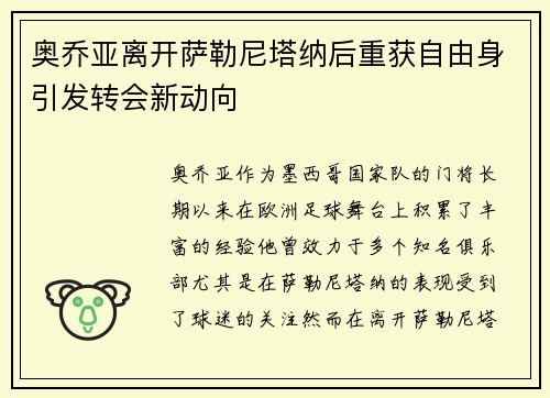 奥乔亚离开萨勒尼塔纳后重获自由身引发转会新动向